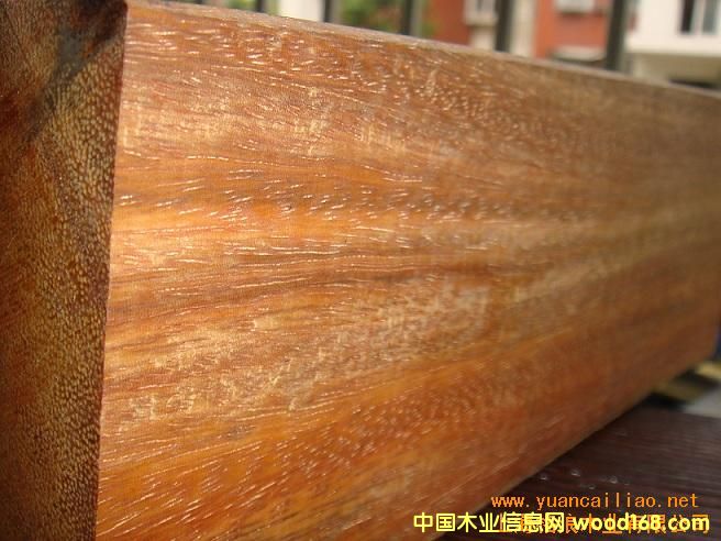 [��] ӡ�Ფ�}��r��ȫ�t��Ʒ��