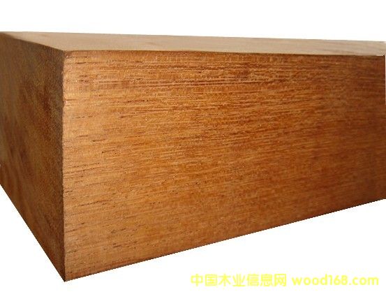 [��] ����(y��ng)�̈́�ľ����ľ