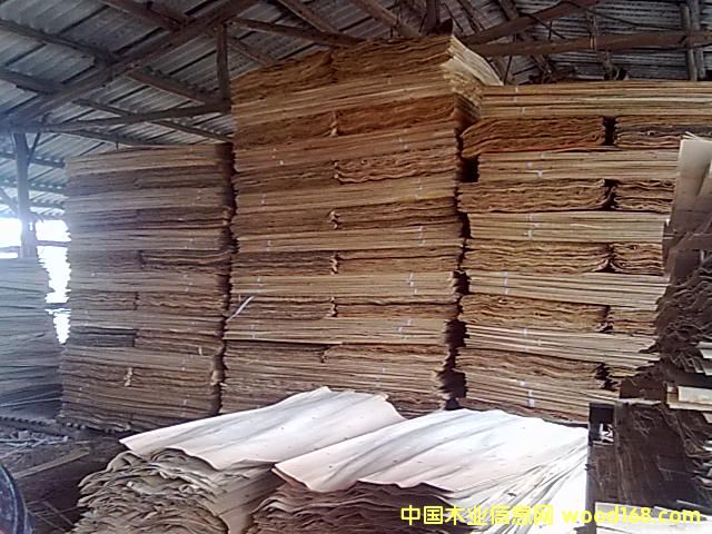 һ�����Ԕ����B