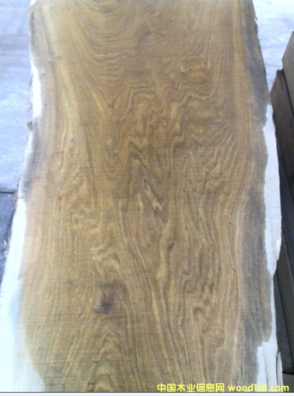 �����z骴���Ԕ����B