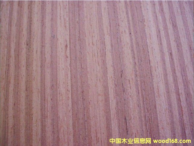 ����EVɳ����ľƤ