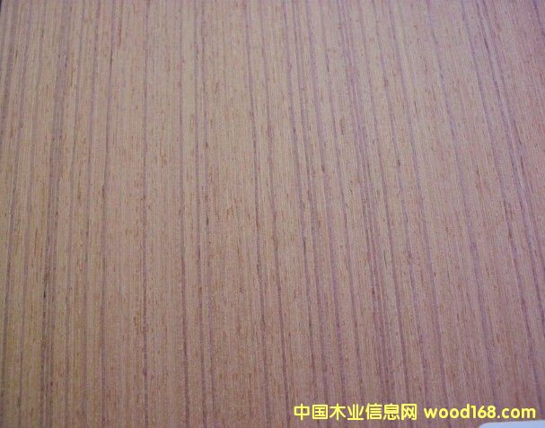 ����EV��ľľƤ