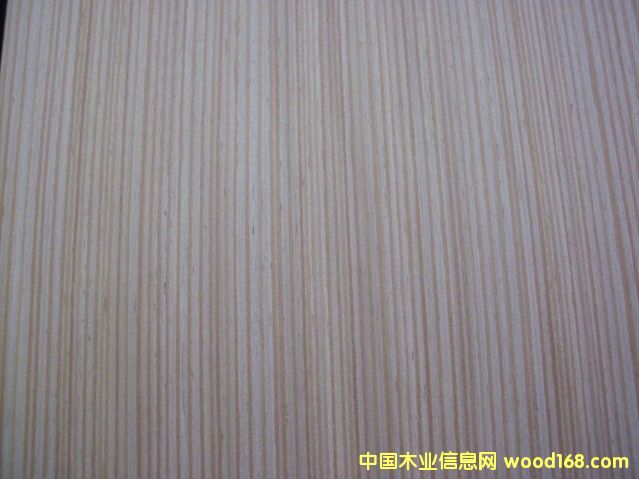 ����EV��˨ľƤ