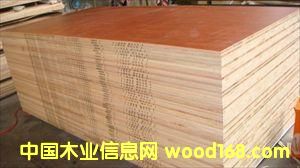 ���B�壬���N���е͙n����ľ����