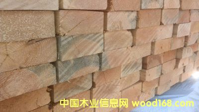 ����(j��)SPF2*4*10