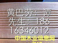 �̈́�ľ��Ԕ����B