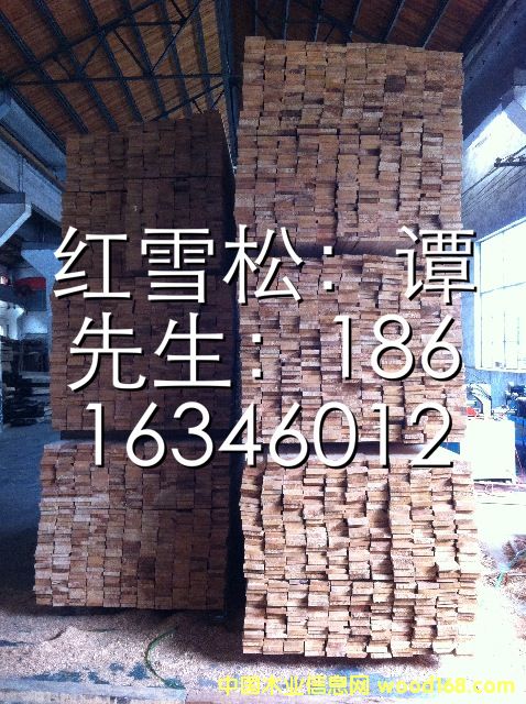 �tѩ�ɵ�Ԕ����B