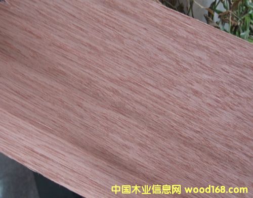 �c���鿴�R����������ľ�Ŵ�DƬ