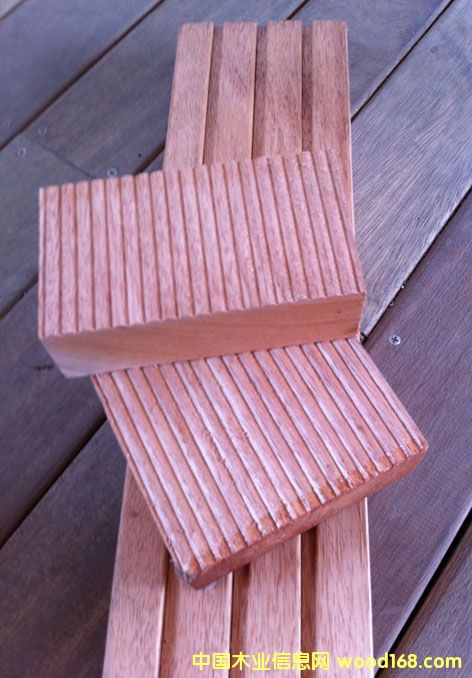 �c���鿴ɽ��ľ�Ŵ�DƬ