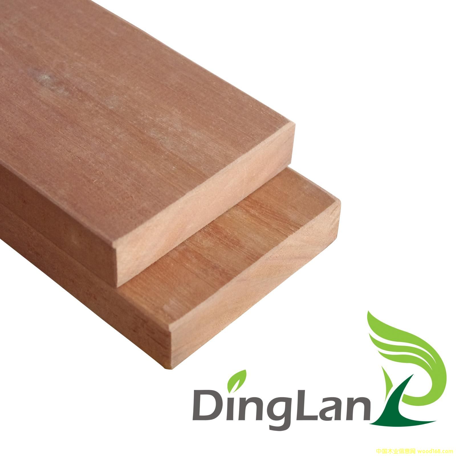 �c���鿴�S�̈́�ľ�Ŵ�DƬ