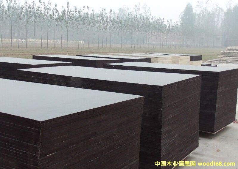 [��] ���S�r�ӱ��S��ֱ�N2013��Ʒ�|��ˮ��