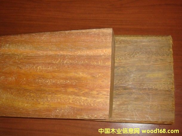 ���޲��}��ľ�ذ��Ԕ����B