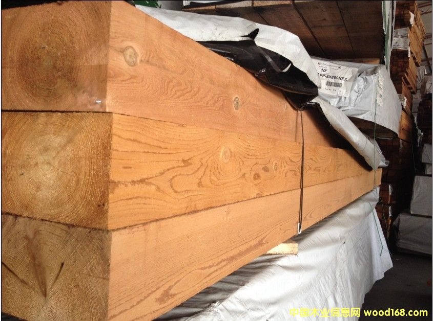 �tѩ����Ƭ