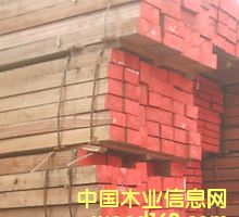 �L�ڹ�������ľ