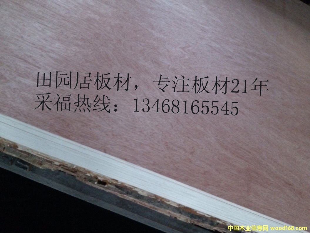 18��ؐ��ɼ�z�ϰ� �����