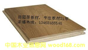 �z�ϰ� �Ҿ߰�S�� ���Ӱ�