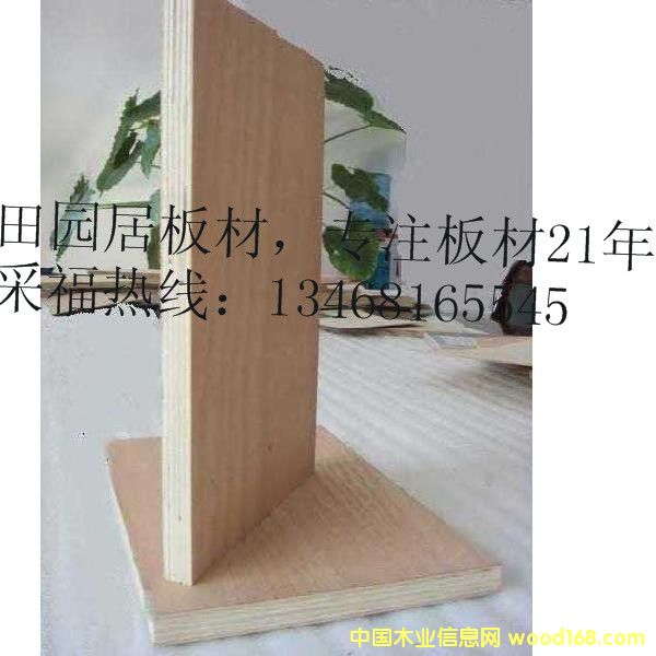 �t�sľ���Ӱ� ��ľ��о���b��