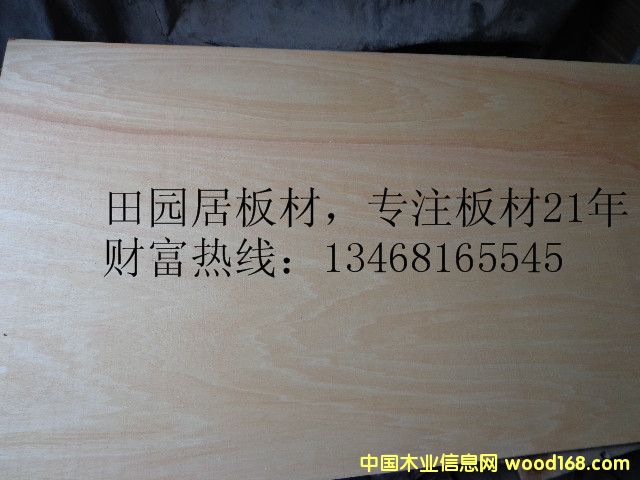 ���ә������B(t��i)��