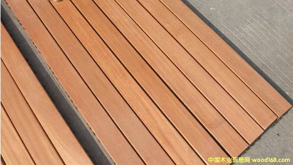 ����ľ��Ԕ����B