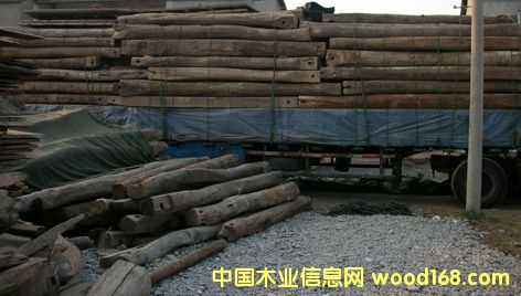 ����ľ��Ԕ����B