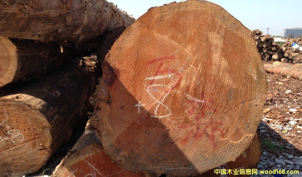 �����ɵ�Ԕ����B