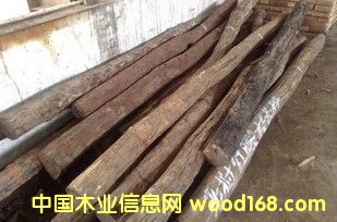 ��t��֦�����ϣ��L��3��-4�� ��Ʒ