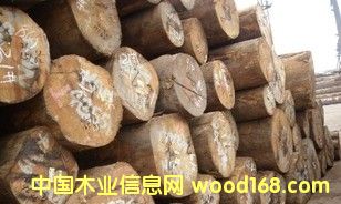 ���� ɽ����