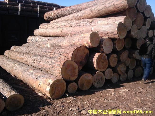 �|�����������������