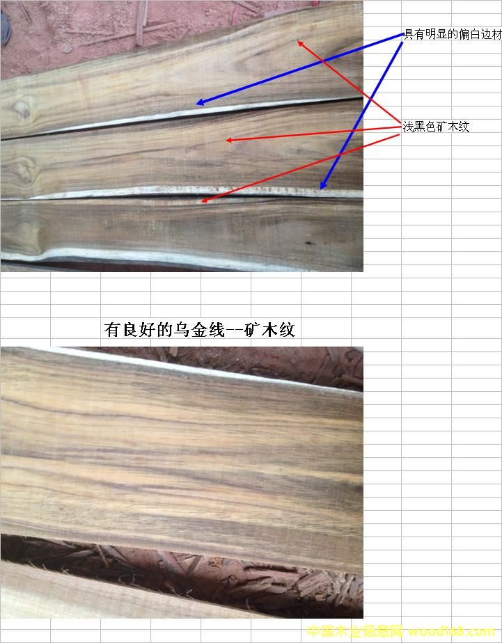 һ���M������ľ��Ԕ����B