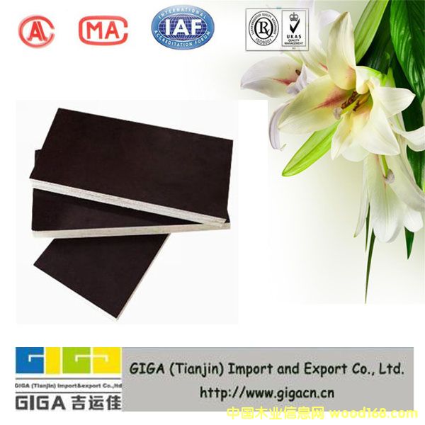 �c���鿴�ӱ��ȷ����ľ�I�������|��Ĥ����ģ��Ŵ�DƬ