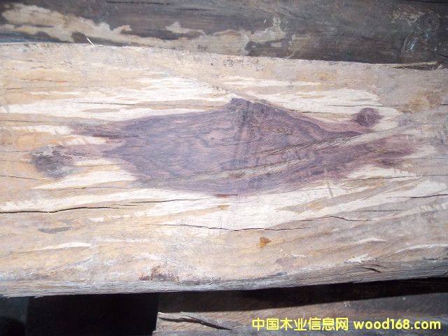 Խ�S��Ԕ����B