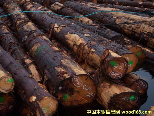 黃雪松的詳細(xì)介紹