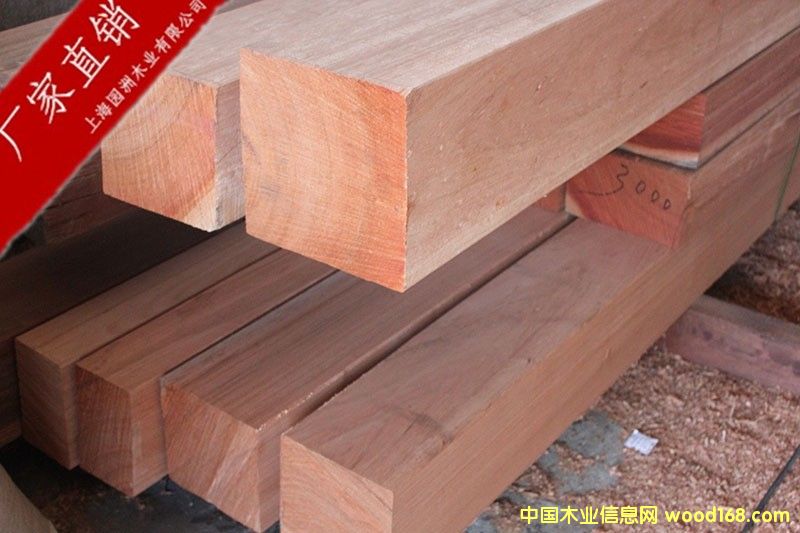 ��ľ��Ԕ����B