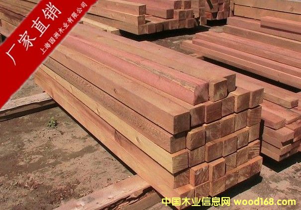 �tѩ�ɵ�Ԕ����B