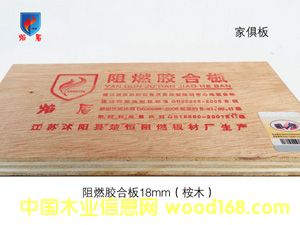 ��ȼ�z�ϰ�