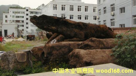 С�~�E骞�ľ��Ԕ����B