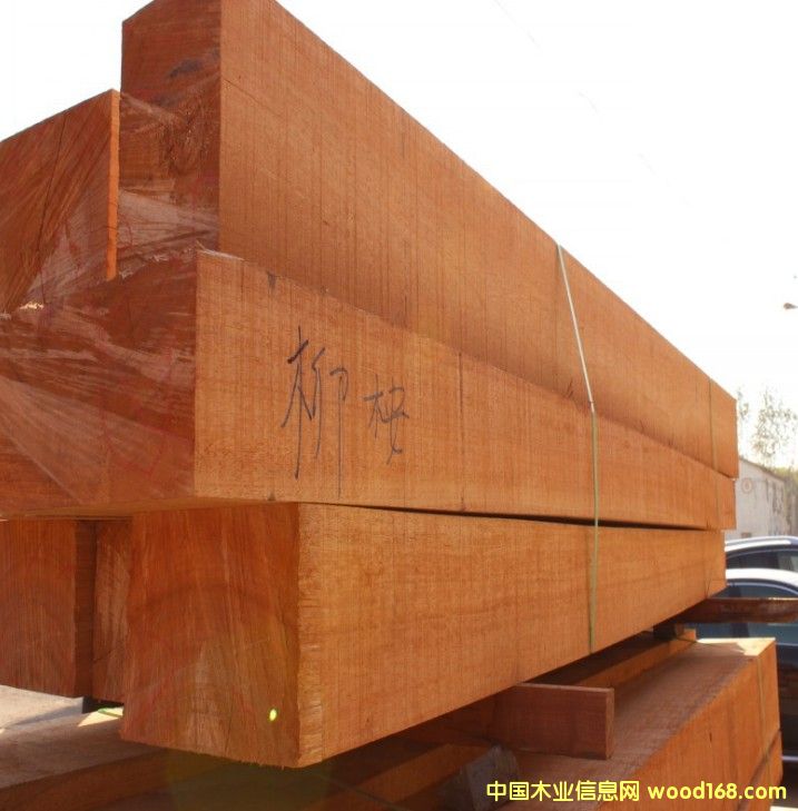 ����ľ��Ԕ����B