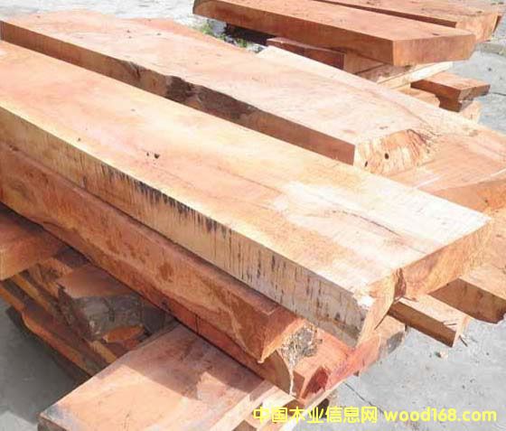 ����ľ��ĵ�Ԕ����B