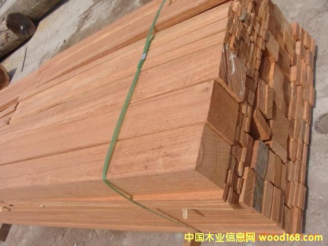 ����˹���T����˹