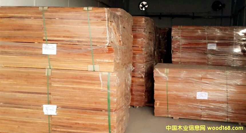 橄欖木的詳細介紹