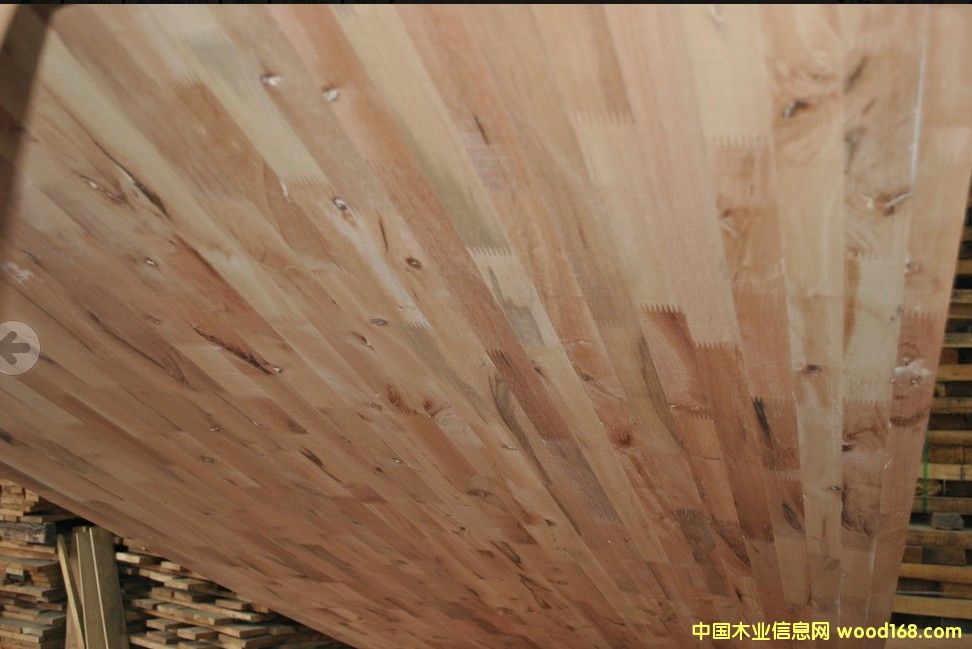 �sľ�й�ָ�Ӱ�