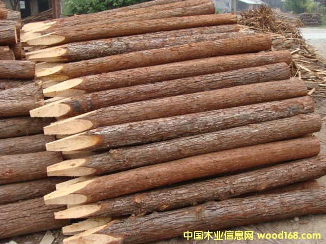 ���B�g��ɼľ��