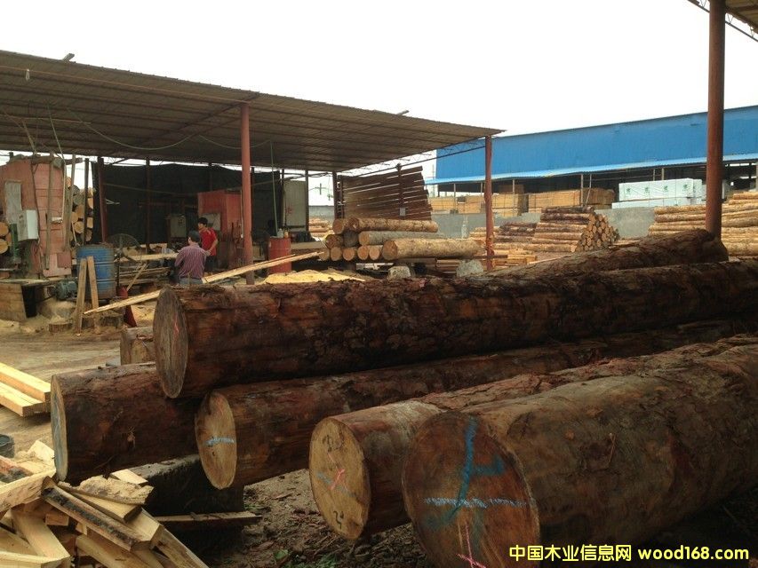 �F���ӹ����~��