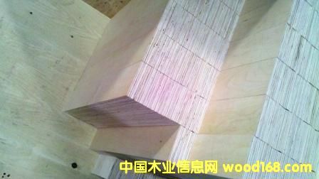 ɳ�����������ϣ����С�ֱ�y����Ԕ����B