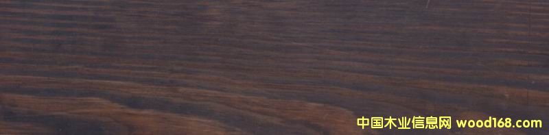 ��ľ��ȼľ��