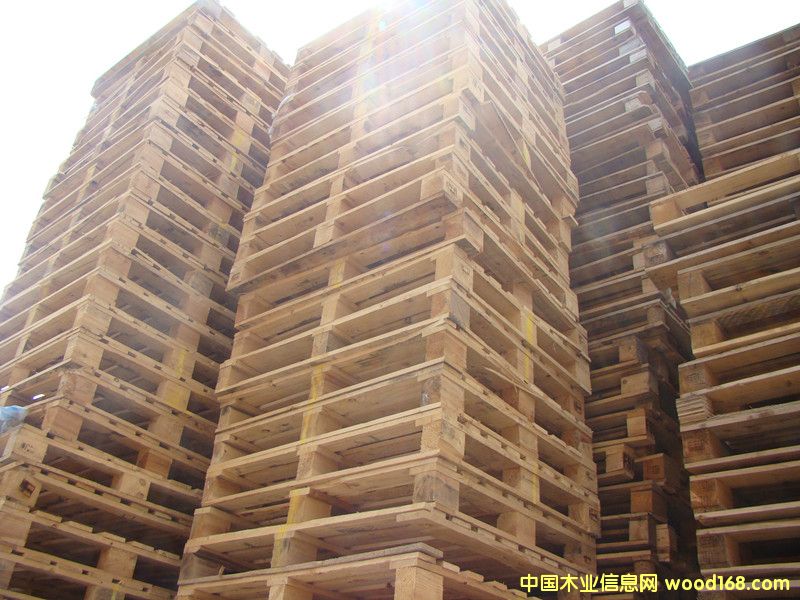 ����ľ�|�бP