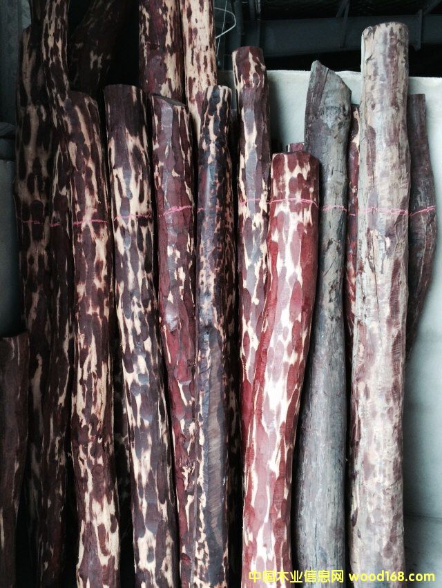 С�~��̴��Ԕ����B