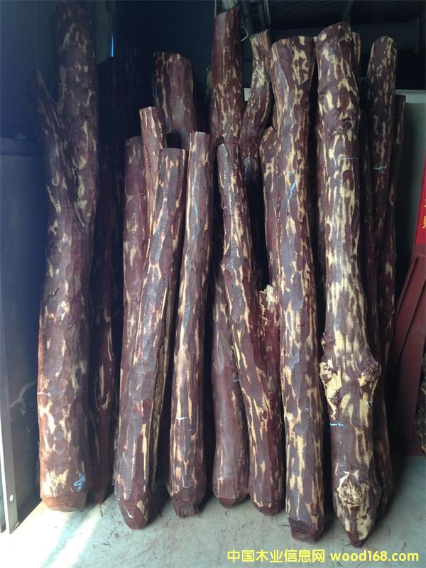 С�~��̴9��Ԕ����B