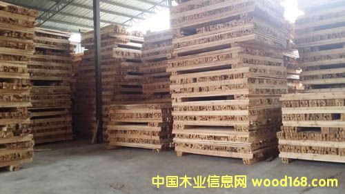 ����ѩ�ɡ����M��ľ��ľ�����W���ġ��Lɳ����ѩ���N��