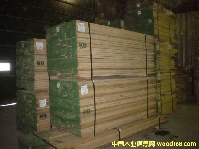 紅橡的詳細(xì)介紹